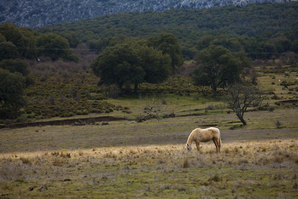 Tambor Del Llano Villa Grazalema Buitenkant foto
